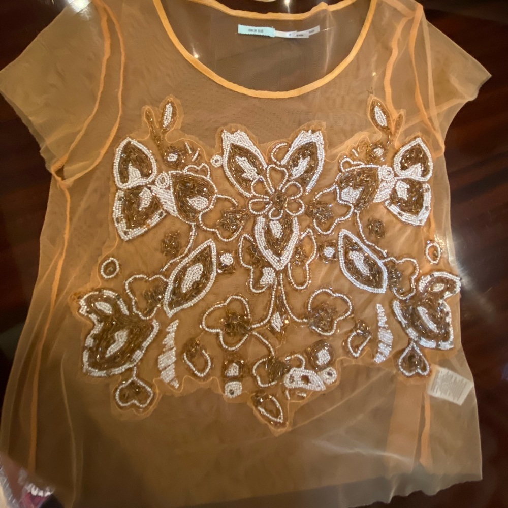 Beaded sheer blouse